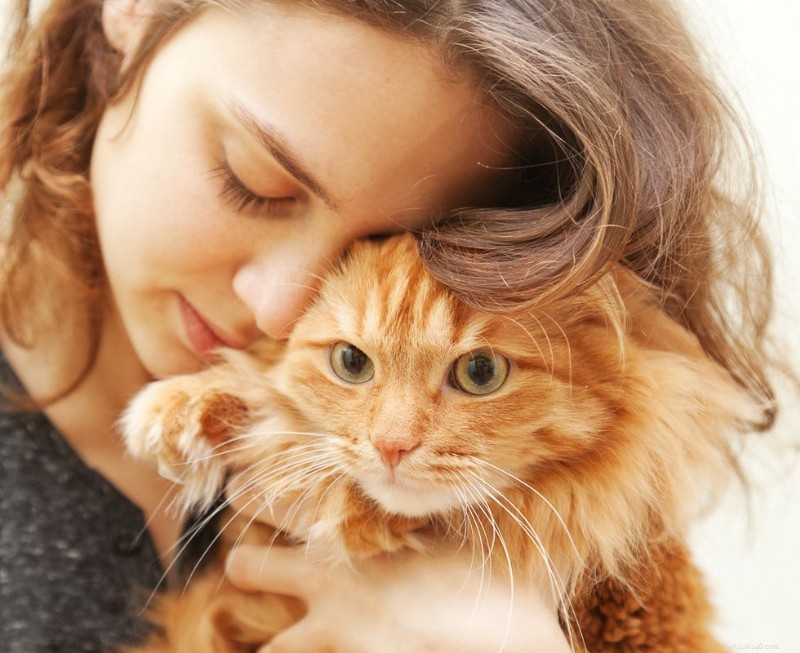 9 Proven Reasons Why Cats Love to Sit on Your Lap