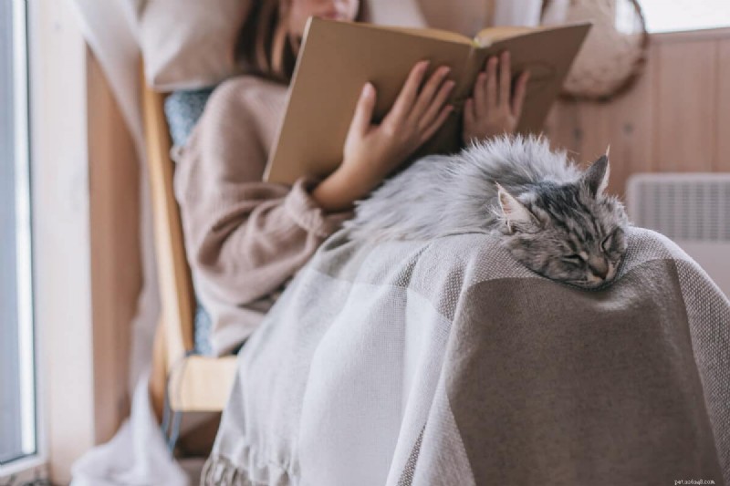 Why Your Cat Isn’t Purring: 6 Common Causes Explained