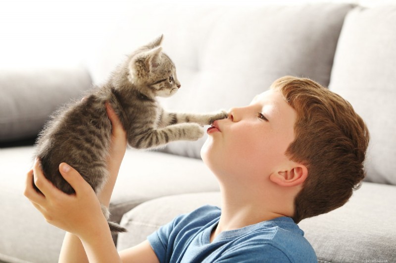 Why Do Cats Lick Your Nose? 13 Surprising Reasons Explained