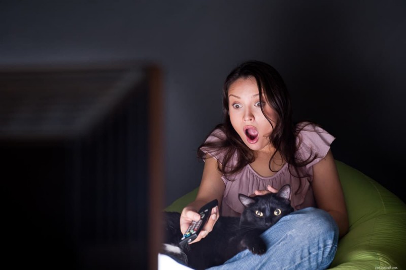 12 Proven Reasons Why Cats Love Sleeping on Your Legs