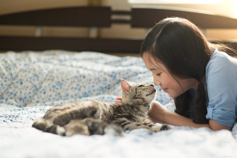 12 Proven Reasons Why Cats Love Sleeping on Your Legs
