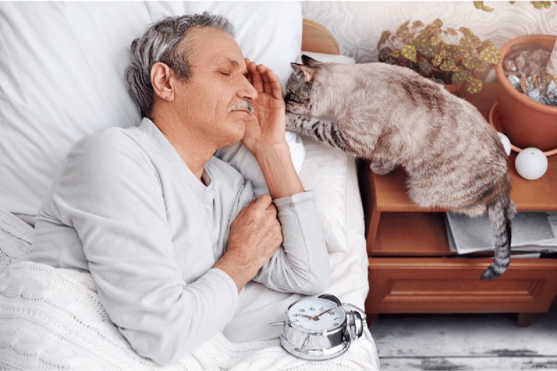 How Long is a Cat’s Memory? Everything You Need to Know