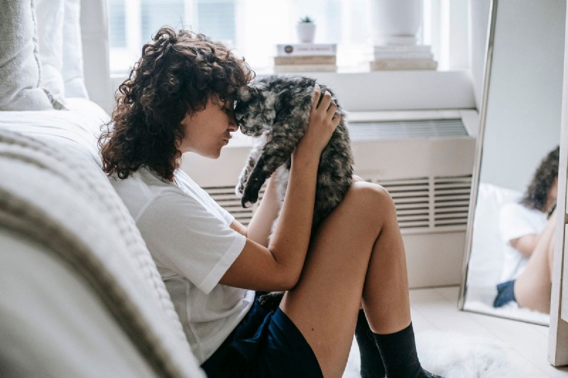 How Long is a Cat’s Memory? Everything You Need to Know