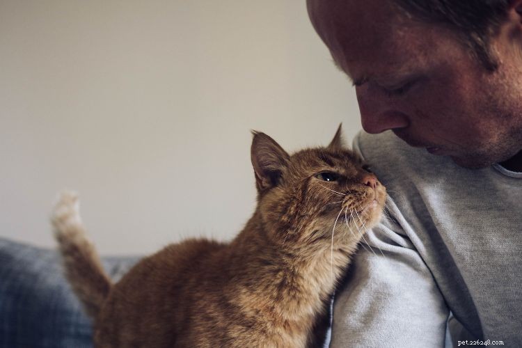 Your Cat Sees You as a Partner, Not an Owner