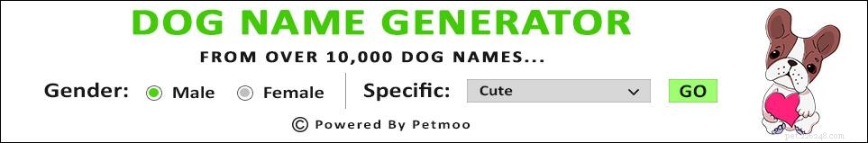 125+ Elegant French Dog Names and Their Meanings