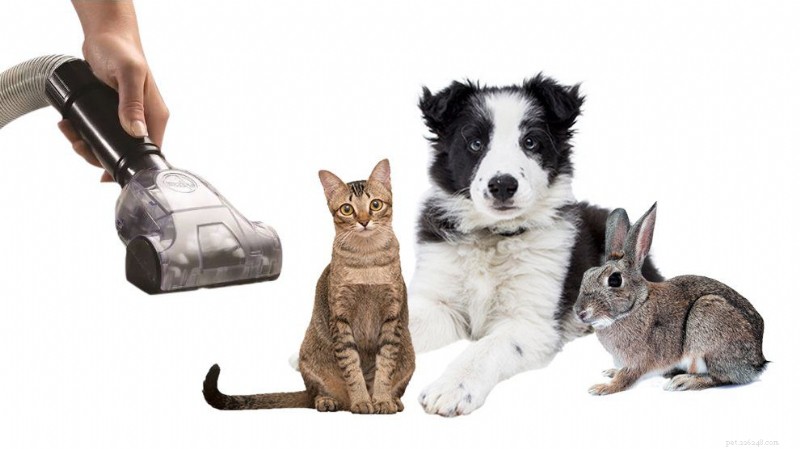 Top 10 Pet Hair Vacuums: The Best Cleaners According to Customers