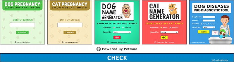 Norwegian Forest Cat: Breed Profile, Care Tips, and Fascinating Facts