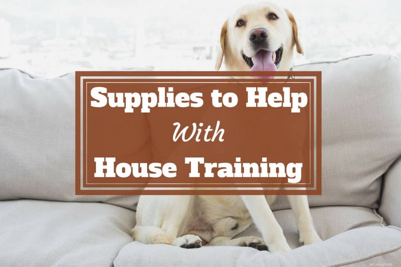 Essential House Training Supplies: A Comprehensive Buying Guide