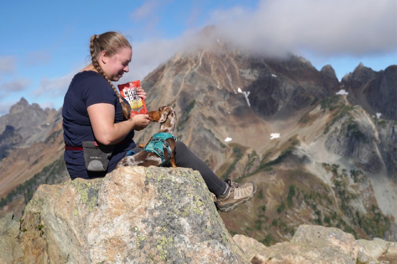 Hiking with Dachshunds: Expert Tips on Enrichment & IVDD from You Did What With Your Wiener