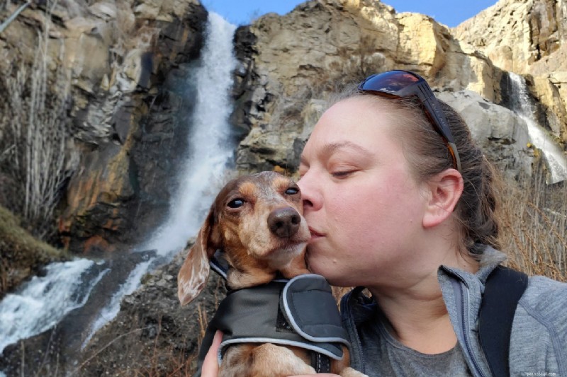 Hiking with Dachshunds: Expert Tips on Enrichment & IVDD from You Did What With Your Wiener