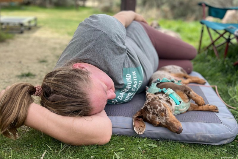 Hiking with Dachshunds: Expert Tips on Enrichment & IVDD from You Did What With Your Wiener