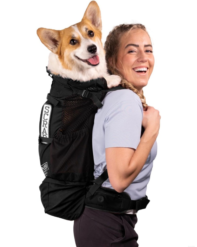 Top 5 Small‑Dog Backpack Carriers for Hiking & Travel – 2026 Expert Review