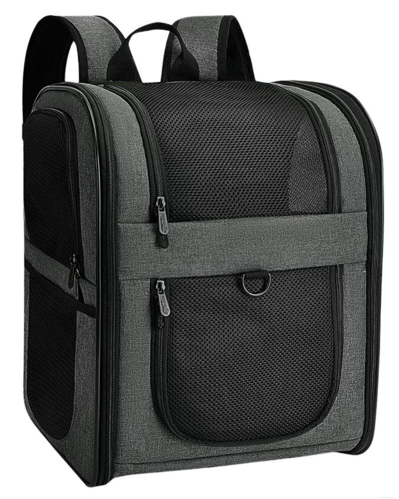 Top 5 Small‑Dog Backpack Carriers for Hiking & Travel – 2026 Expert Review