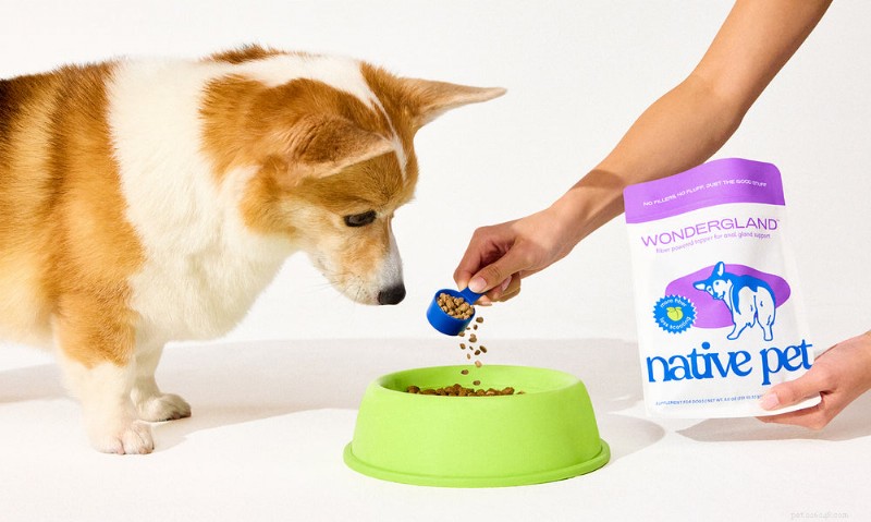 WonderGland: Natural Anal Gland Support for Dogs – Safe, Fiber‑Enhanced Supplement