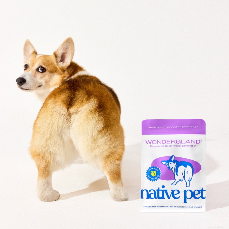 WonderGland: Natural Anal Gland Support for Dogs – Safe, Fiber‑Enhanced Supplement