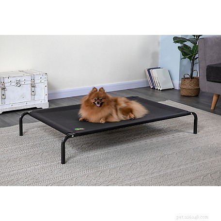 Top 8 Must‑Have Pet Essentials from Tractor Supply