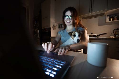 Designing a Productive Home Office with a Dedicated Pet Zone – 5 Simple Ideas