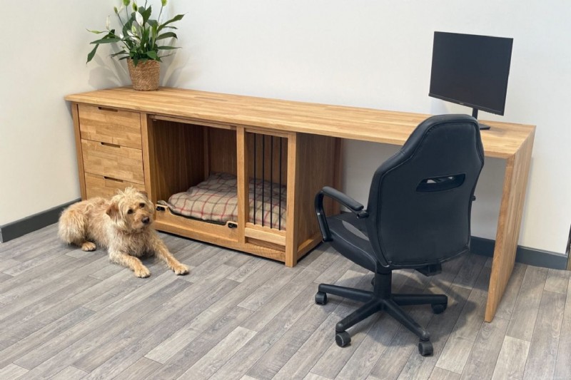 Designing a Productive Home Office with a Dedicated Pet Zone – 5 Simple Ideas