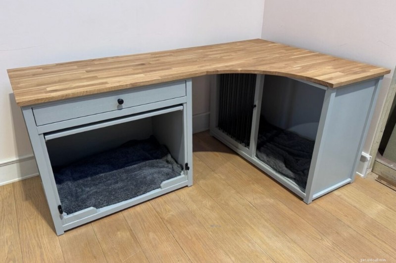 Designing a Productive Home Office with a Dedicated Pet Zone – 5 Simple Ideas