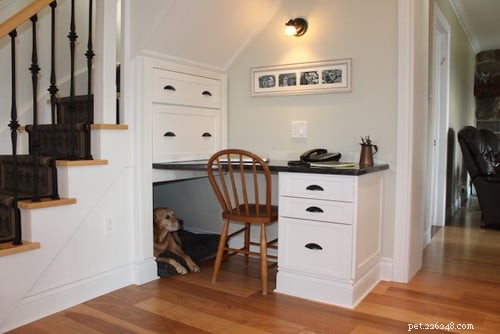 Designing a Productive Home Office with a Dedicated Pet Zone – 5 Simple Ideas