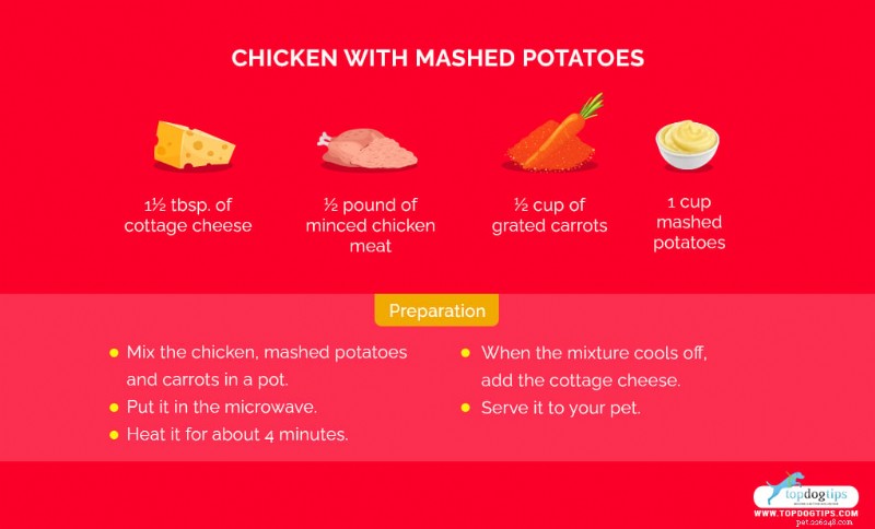 Top 5 Homemade Dog Food Recipes for Sensitive Stomachs