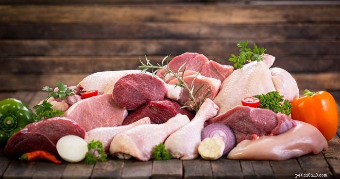 Understanding Food Allergies in Dogs: Causes, Symptoms, and Effective Solutions