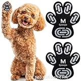 10 Proven Ways to Safeguard Your Dog’s Paws from Hot Pavement