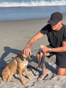 Preventing and Treating Sunburn in Dogs: Signs, Care, and Summer Protection