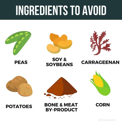 Grain‑Free Pet Food: Health Benefits, FDA Findings, and Why It Matters