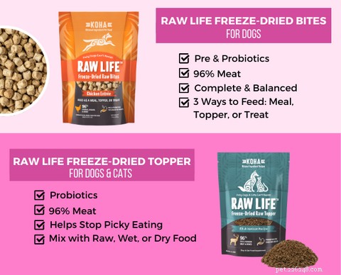 Choosing Freeze‑Dried Pet Food: What’s Best for Your Dog or Cat?