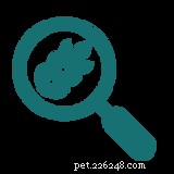 New Study Confirms Grain-Free Dog Food Is Not Linked to Dilated Cardiomyopathy
