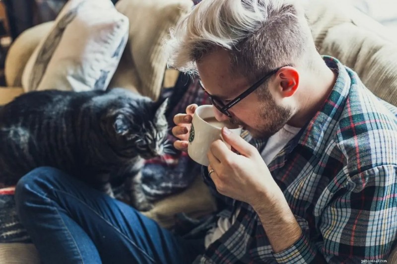Sandra McCune Explains How Cats Reduce Stress and Promote Calm