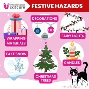 Keeping Your Cat Safe and Happy This Christmas: A Practical Guide