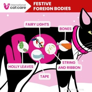Keeping Your Cat Safe and Happy This Christmas: A Practical Guide