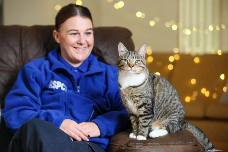 Plan Your Pet’s Holiday: Expert Christmas Care Tips