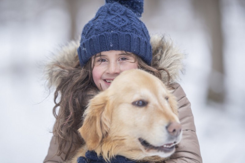 Snow Nose in Dogs: Understanding Why Your Dog’s Nose Turns Pink
