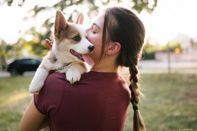 Predicting Your Puppy’s Final Size: A Comprehensive Guide