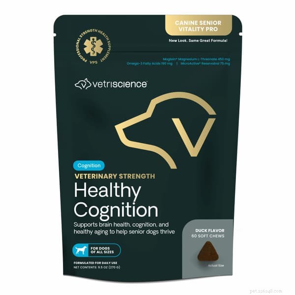 Top 7 Senior Dog Supplements & Vitamins to Boost Their Golden Years