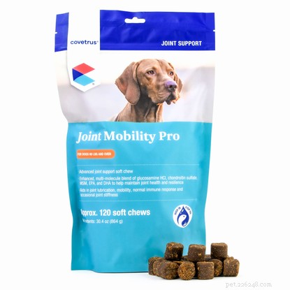 Top 7 Senior Dog Supplements & Vitamins to Boost Their Golden Years