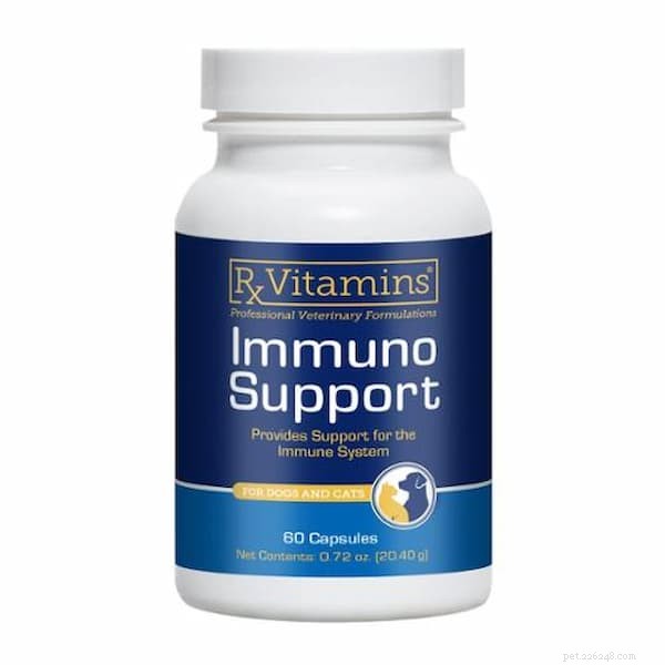 Top 7 Senior Dog Supplements & Vitamins to Boost Their Golden Years