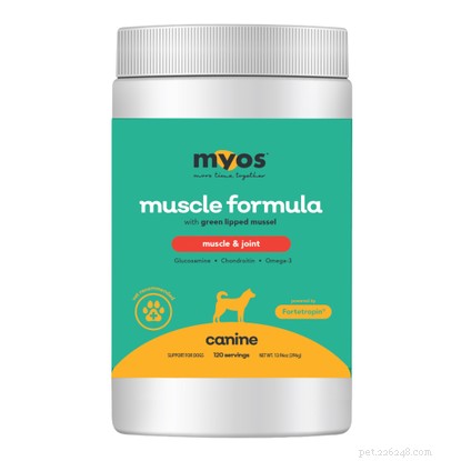 Top 7 Proven Hip & Joint Supplements for Dogs: Expert‑Chosen & Vet‑Recommended