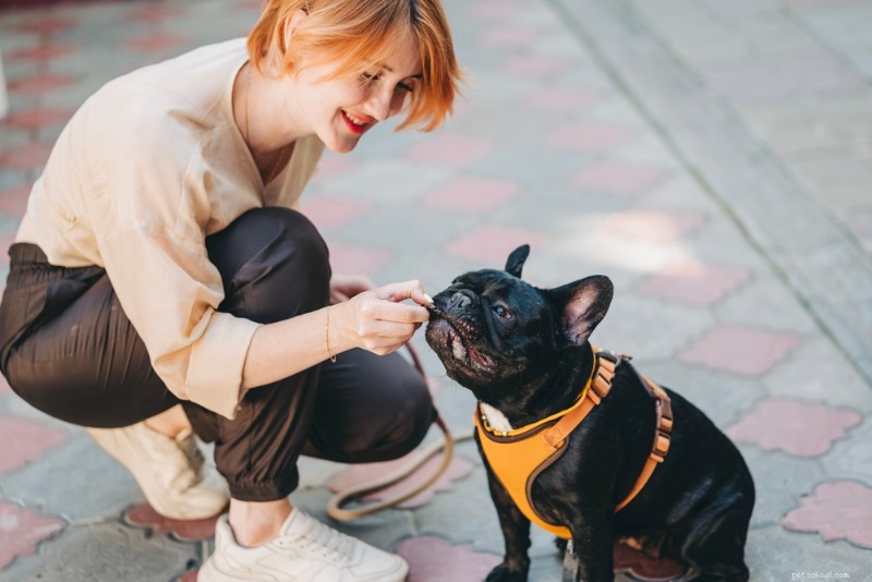 6 Proven Dog Dental Treats for a Healthy Smile