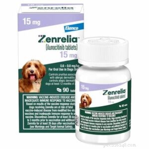 8 Essential Signs Your Dog May Have Skin Allergies – Spot Them Early