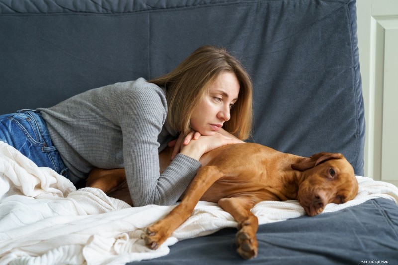 Dog Pain Scale: How to Spot and Measure Your Dog s Pain