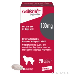 Inflammation’s Impact on Canine Osteoarthritis: Understanding Causes, Symptoms, and Treatment