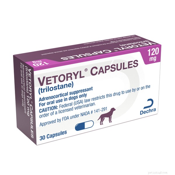10 Dog Breeds Most Susceptible to Cushing’s Disease
