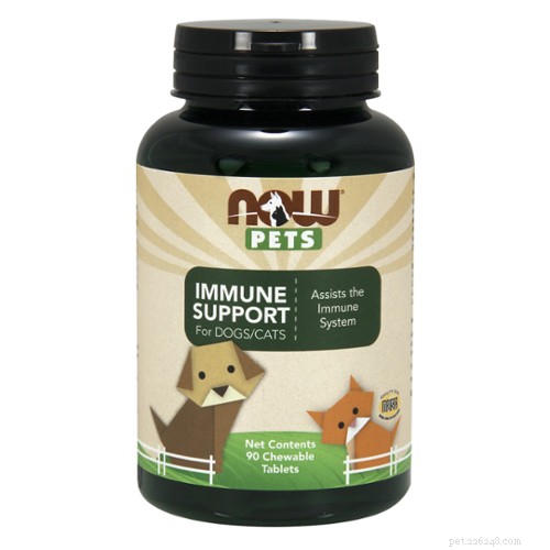 Top 6 Vet-Approved Supplements to Support Dogs Facing Cancer