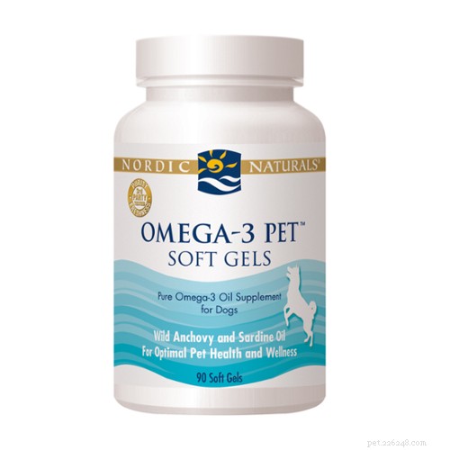 Top 6 Vet-Approved Supplements to Support Dogs Facing Cancer
