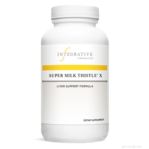 Top 6 Vet-Approved Supplements to Support Dogs Facing Cancer