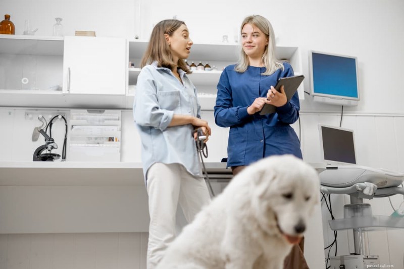 Sudden Dog Weight Gain? 7 Key Medical Causes Explained